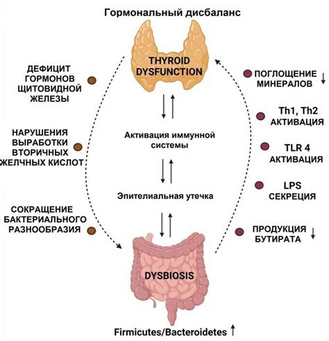 Гормональные изменения и нарушение работы щитовидной железы
