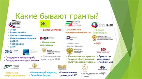 Государственные гранты: возможности и условия