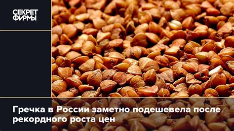 Гречка в современной России - популярность и признание