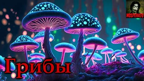 Грибы: сохранность за ночь