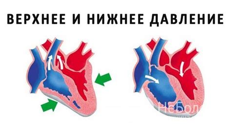 Давление и сердце: что стоит знать