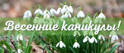 Дата начала весенних каникул 2017 года