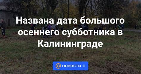 Дата субботника в 2023 году