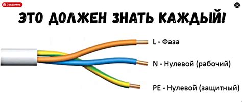 Даты проводов