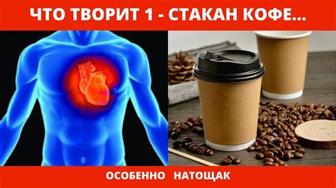 Действие компонентов кофе на организм
