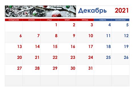 Декабрь 2021: дата поступления в продажу