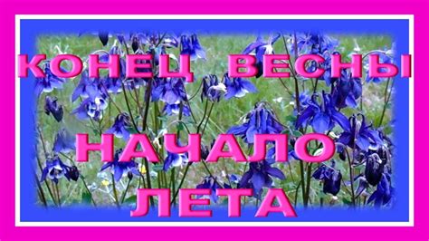 День мая: приближение лета и цветение природы