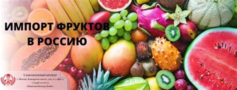 День фруктов в России: история и значение