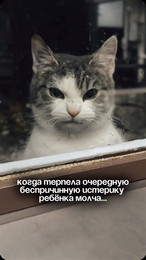 Держите себя в движении