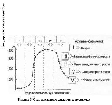 Диагностика замедления роста ноги