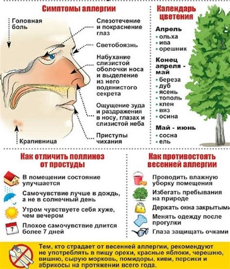 Диагностика и лечение соплей при аллергии