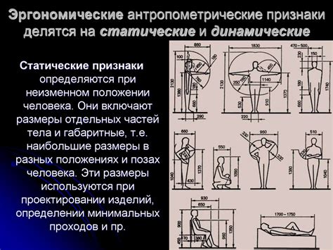 Дизайн и эргономика: