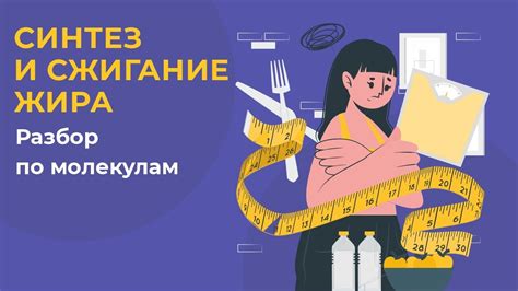 Длительность исключения углеводов и сжигание жира