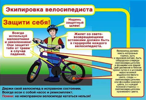 Для безопасности собаки и окружающих
