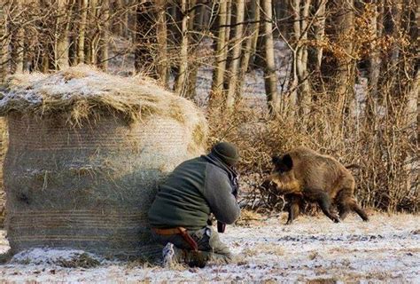 Дневная охота: преимущества и особенности