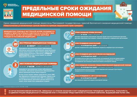 Дополнительная информация: сроки ожидания и возможные проблемы при оформлении полюса в МФЦ