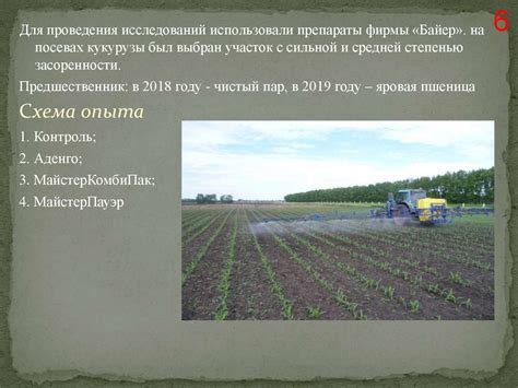 Дополнительные советы по применению гербицидов на посевах овса