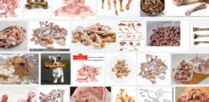Допустимость давать куриные кости щенку