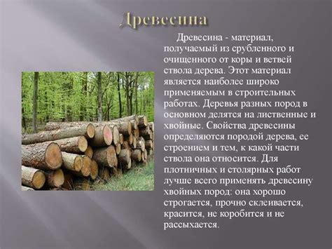 Древесина и ее потенциал для использования в электронике