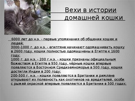 Древние кошки: первые упоминания