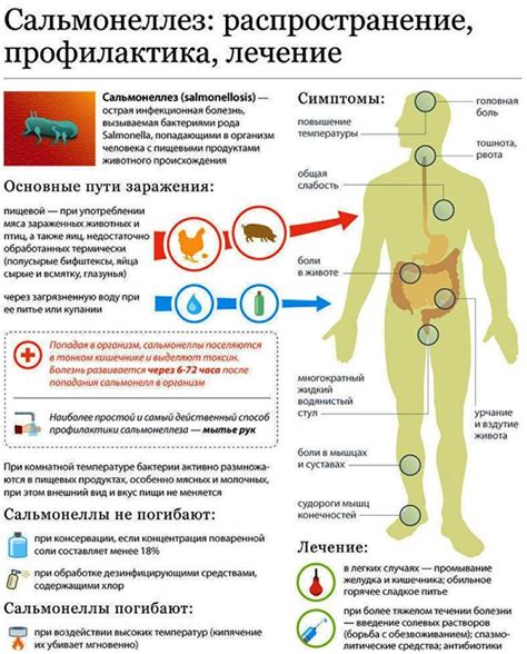 Другие возможные источники заражения сальмонеллезом