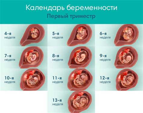 Другие основные причины тревоги на ранних сроках беременности