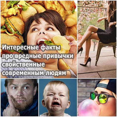 Другие привычки и интересные факты
