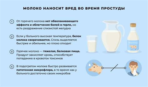 Дыня и молоко: мнение экспертов