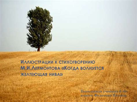 Желтеющая нива: основная тема произведения