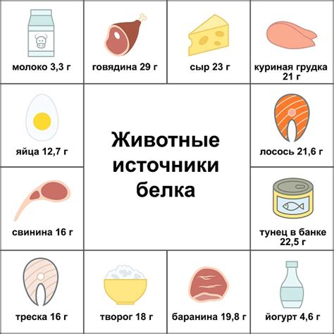 Животные продукты