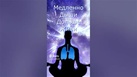 Жизнь как дыхание