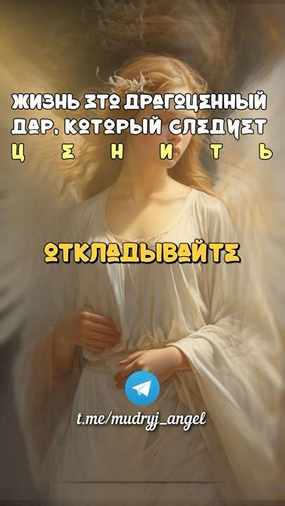 Жизнь следует ценить
