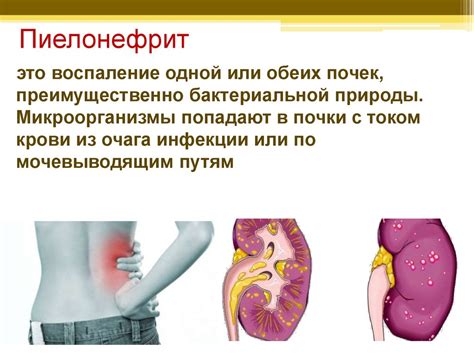 Заболевания органов вымени