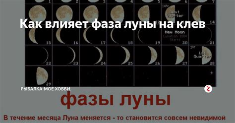 Зависимость расходов от фазы луны