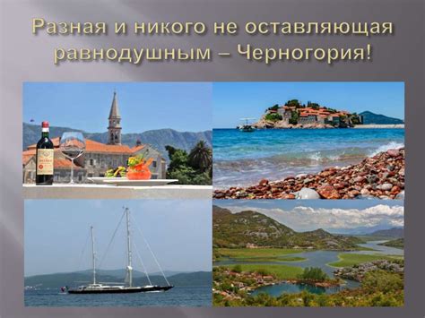 Загадка, не оставляющая равнодушным