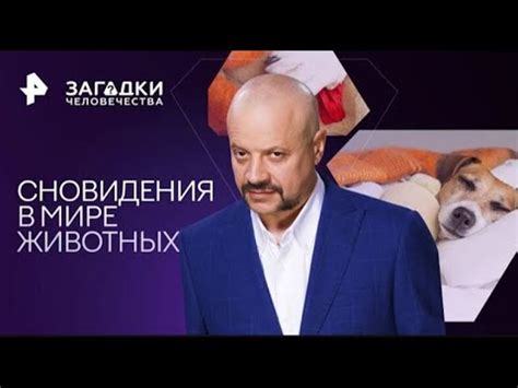 Загадки, связанные с происхождением сновидения