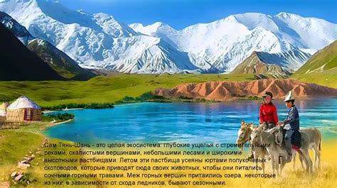 Загадочные бернкастели: мистическое поведение природы