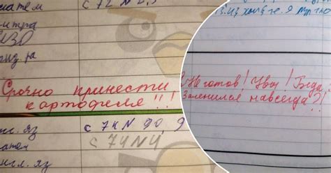 Загадочные записи в дневниках ученых: что они говорят о сокращении дней