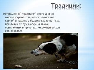 Зажигание свечей в память о погибших животных как форма травматического процесса