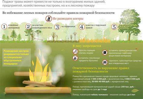 Законодательное регулирование: Какие меры принимаются для обеспечения безопасности в лесу