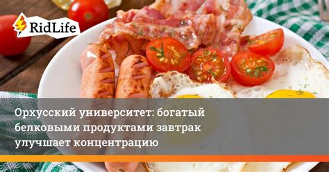 Заполняйте свою диету белковыми продуктами