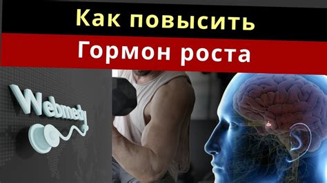 Запрещенные виды гормона роста: перечень
