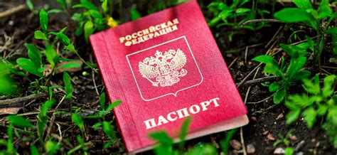 Запуск программы выдачи паспортов