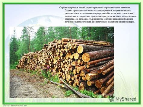 Затраты на восстановление лесных массивов