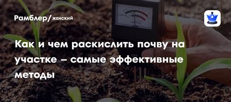 Зачем раскислять почву