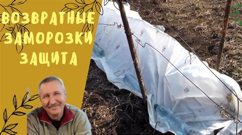 Защита от заморозков