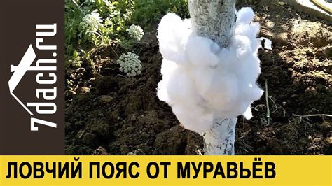 Защита синтепона от дальнейшего повреждения