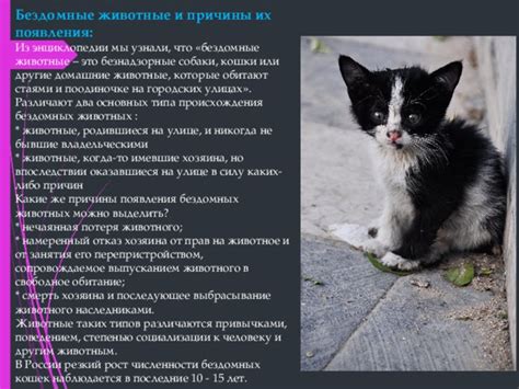 Защитники прав животных и отказ кошек от котят