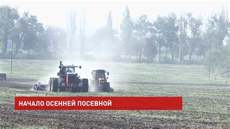 За и против осенней посевной сезона