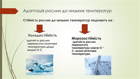 Збільшена стійкість до низьких температур: переваги використання атипової гуми взимові